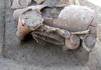 Vase ossuaire (à gauche) et épée pliée appuyés contre l'amphore du Mas Vigier à Nîmes.
