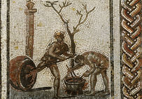 Le poissage des jarres a pour but de rendre les poteries étanches. Détail de la mosaïque du calendrier agricole, provenant de Saint-Romain-en-Gal...