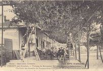 Cueillette des chasselas de Fontainebleau à la grande treille du restaurant Bélisaire à Cap-Ferret (Gironde), première moitié du XXe siècle.