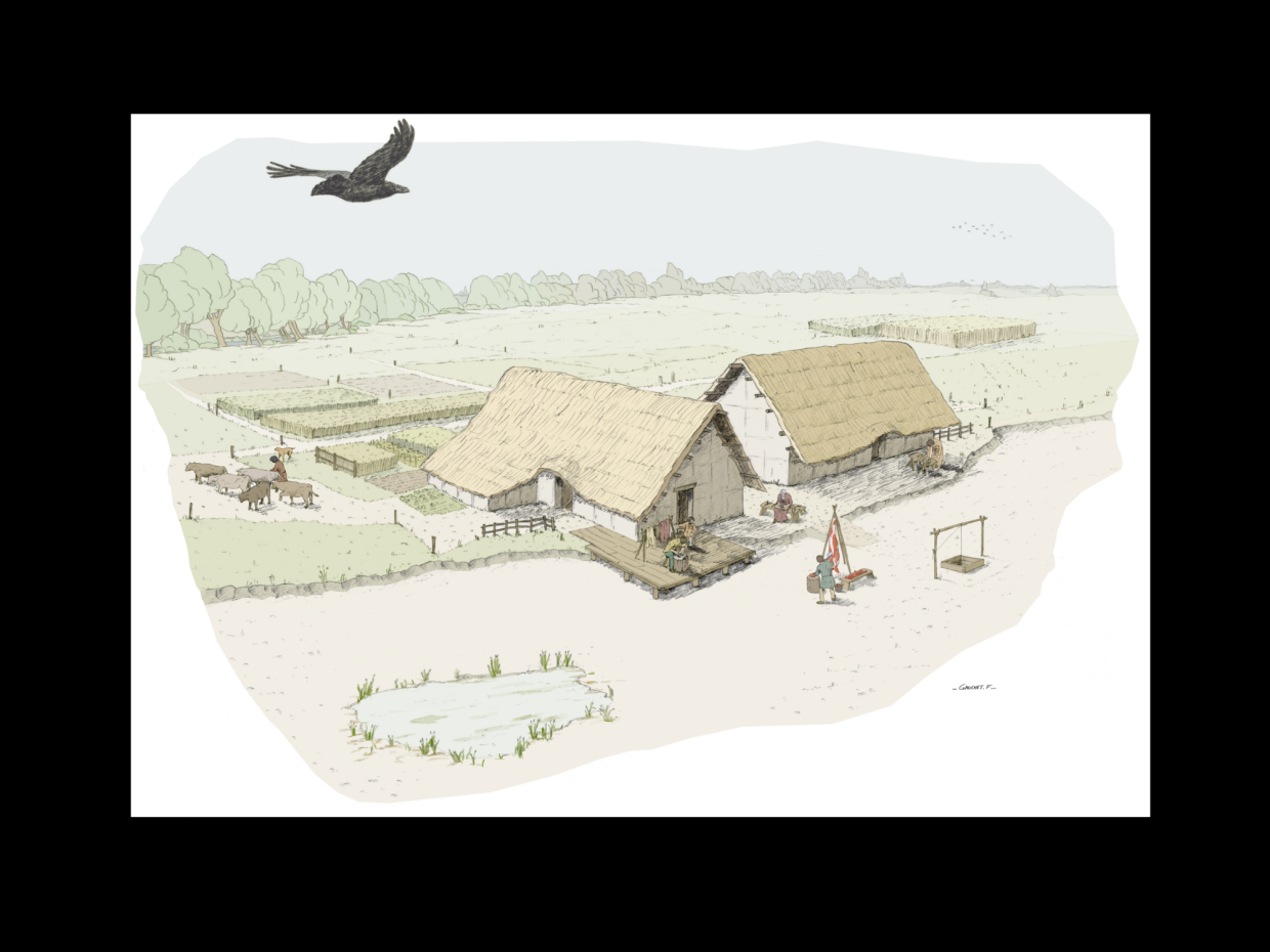Reconstitution graphique d’un secteur d’habitat en bordure du chenal à Pierre-de-Bresse