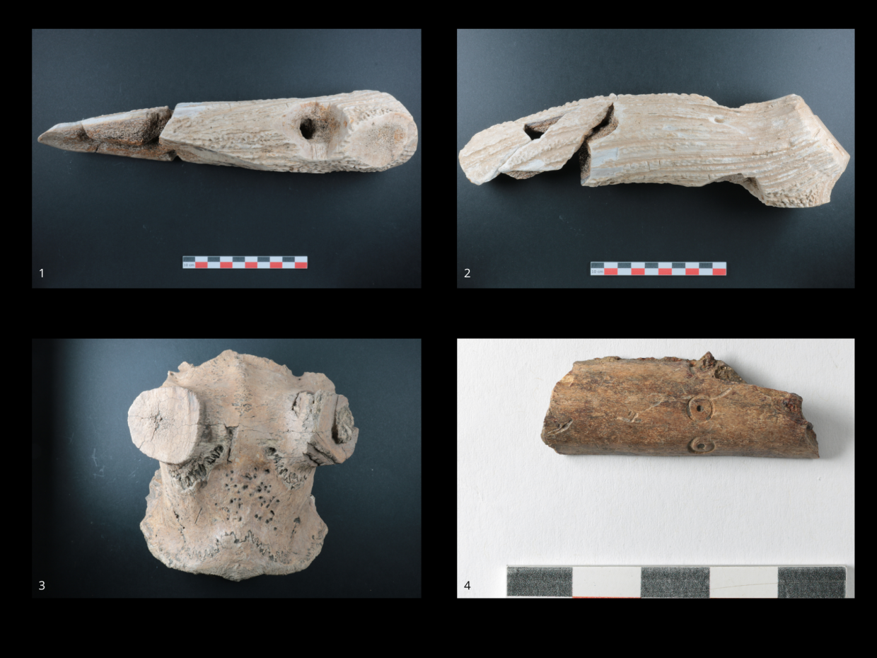 1 et 2 : Outils de type merlin (sorte de hache) en bois de cerf, vus de face et de dessus.     3 : Détail d’un crâne de cerf dont les bois ont été prélevés à des fins artisanales.     4 : Fragment d’un objet décoré d’ocelles (certainement un manche de couteau)