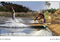 Photo montage de deux images représentant une paludière à Guérande (Loire-Atlantique) et un producteur de sel en Guinée, village de Benti.