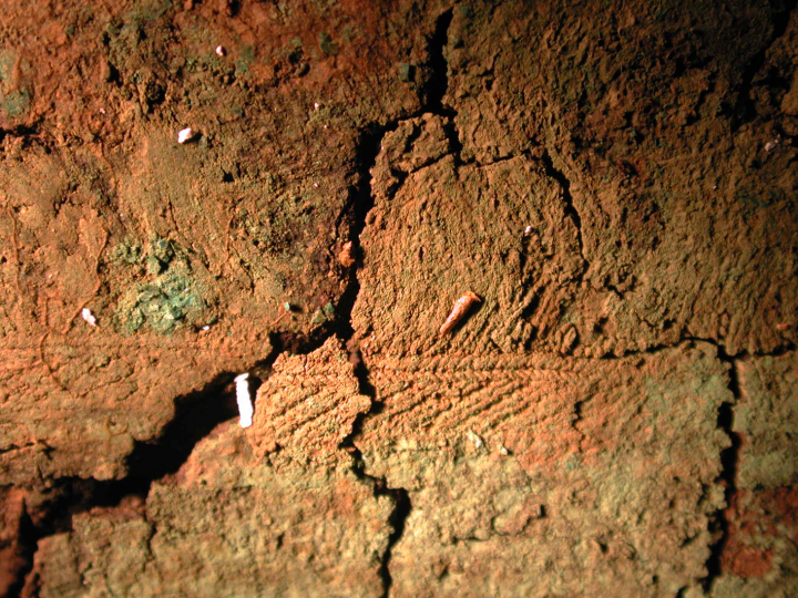 Sépulture 11, galon aux planchettes avec franges (au-dessus)