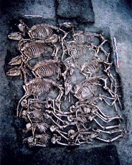 Huit hommes et leurs chevaux : une sépulture multiple en terre arverne (Le Cendre, Puy-de-Dôme)