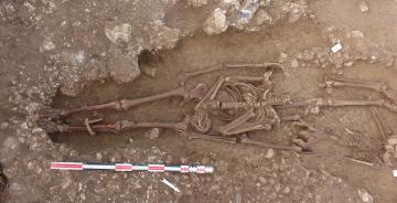 Une nécropole antique dans le quartier périphérique occidental de la ville de Saintes : plusieurs individus entravés, dont un enfant