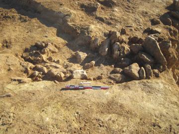 La sépulture du Néolithique ancien installée dans un coffre de pierres, au moment de sa découverte lors du diagnostic.  Aven de Montel, Lunel-Viel (Hérault), 2014.  © André Raux, Inrap