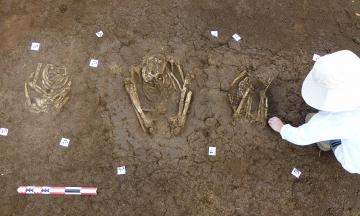 Mise au jour de trois sépultures précolombiennes - Petit-Pérou, les Abymes (Guadeloupe), période troumassoïde (XIe-XIIIe siècles).