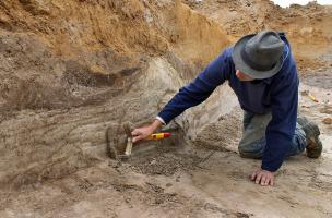 Dans les pas des mammouths de Montereau-sur-le-Jard  (Seine-et-Marne)