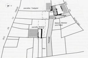 Plan des vestiges et de l’organisation parcellaire, XIVe-XVe siècles