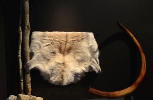 Muséum Néandertal 6
