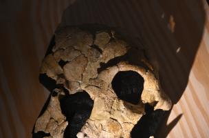 Muséum Néandertal 1