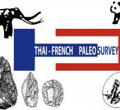 Logo Thai-French Paleosurvey 