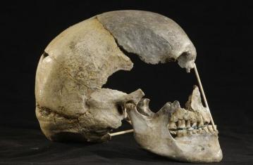 L’Homme moderne est-il un néandertalien qui s’ignore ?